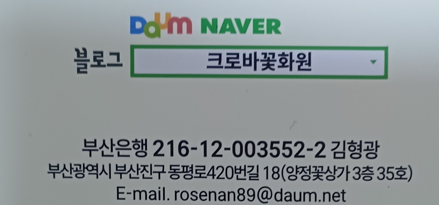 크로바꽃화원 블로그에서 보기