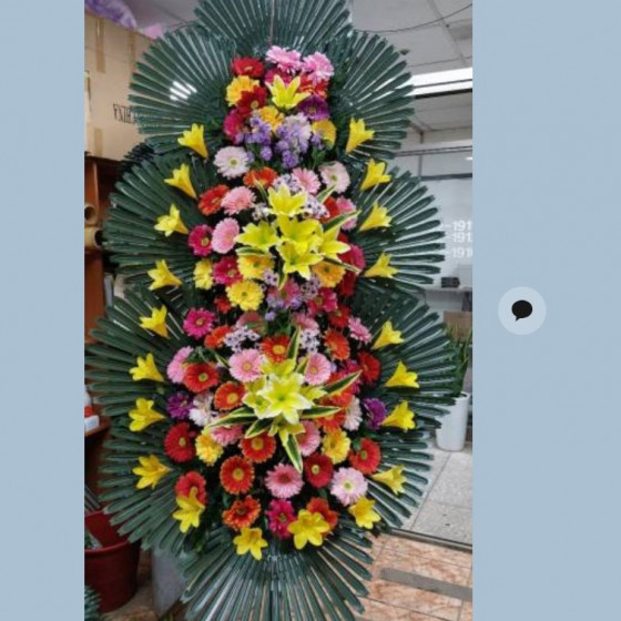 축하화환특1