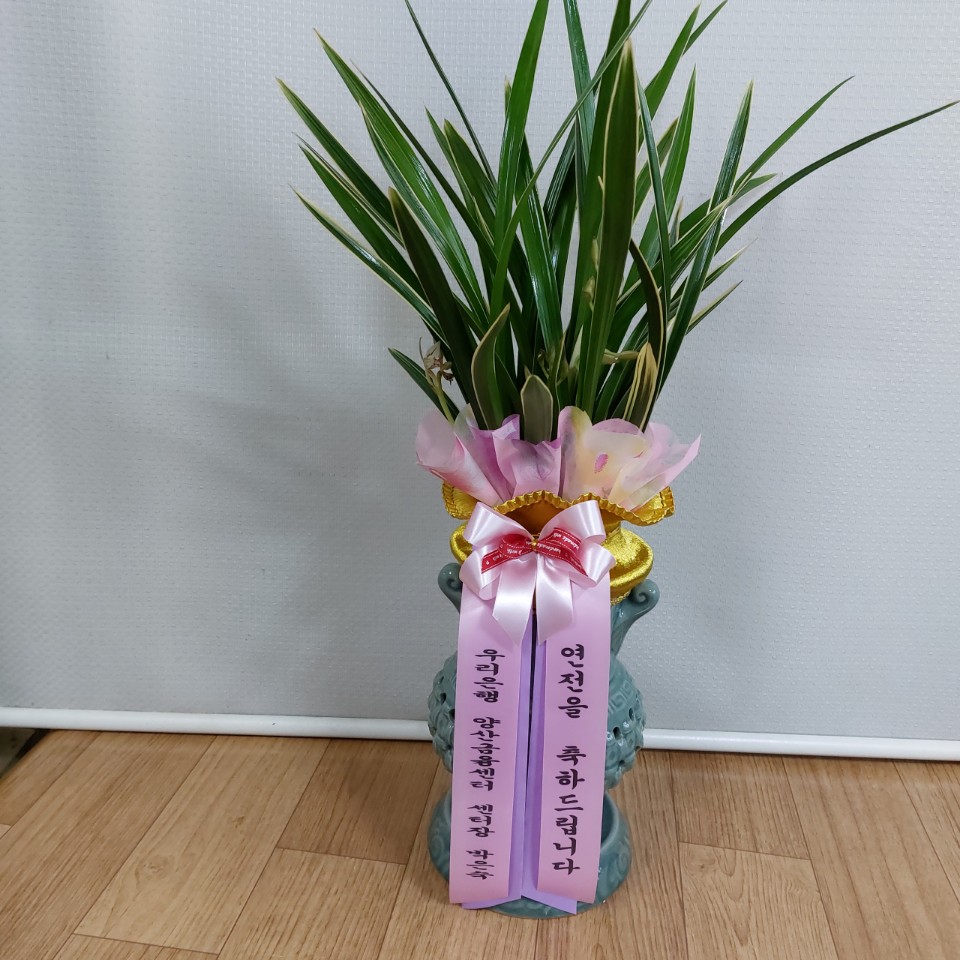 동양란